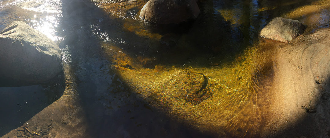 Tahoe Creek