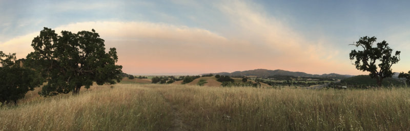 Hilltop, Sonoma