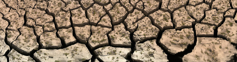 Parched Earth, Nicasio